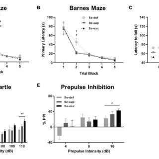 Se Deficient Mice Exhibit Deficits In Cognition And Sensorimotor