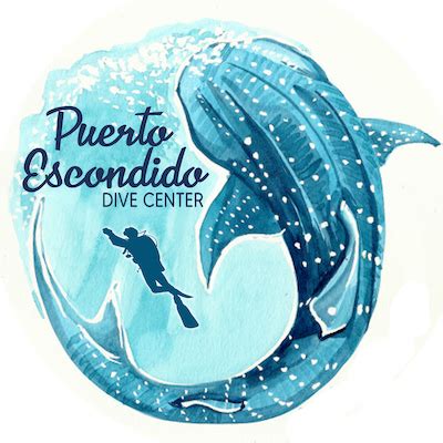 Puerto Escondido Dive Center Proveedor De Getyourguide