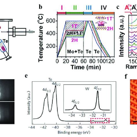 Mbe Growth Of Mote 2 And Wte 2 Films A Schematic Diagram Of The Mbe