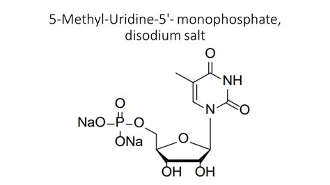 Methyl Uridine Monophosphate Disodium Salt Akonscientific