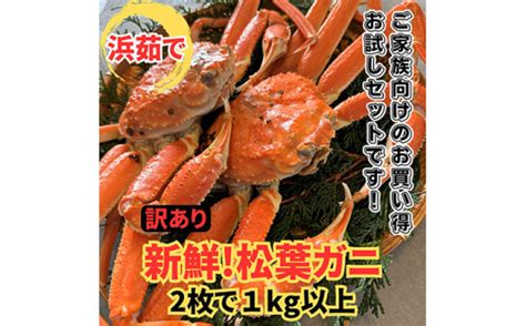 【22025】鳥取網代港【訳あり】浜茹で！松葉ガニ1kgセット【さかなや新鮮組】 鳥取県岩美町 セゾンのふるさと納税