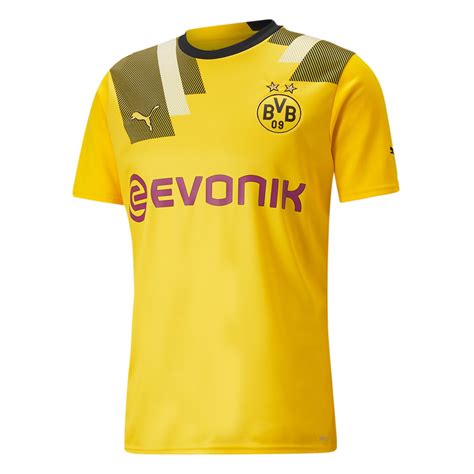 Dortmund Kit Lupon Gov Ph