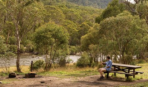 Island Bend Campground Nsw National Parks