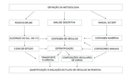 Fluxograma Da Organiza O E Sistematiza O Da Coleta De Dados