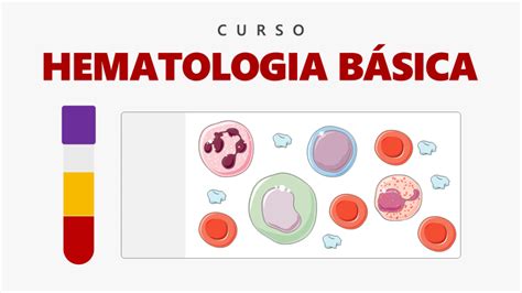 Curso Online De Hematologia B Sica Cursos Biomedicina Padr O