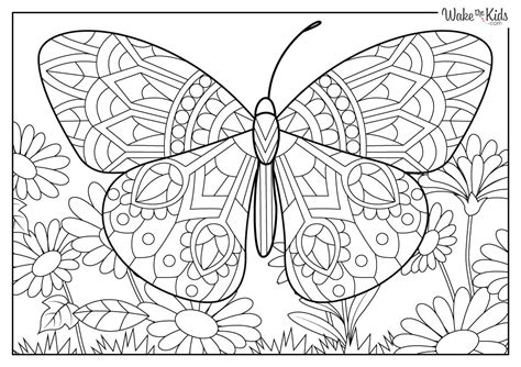 Butterfly Mandala Coloring Pages (Free Printable PDFs) | WakeTheKids