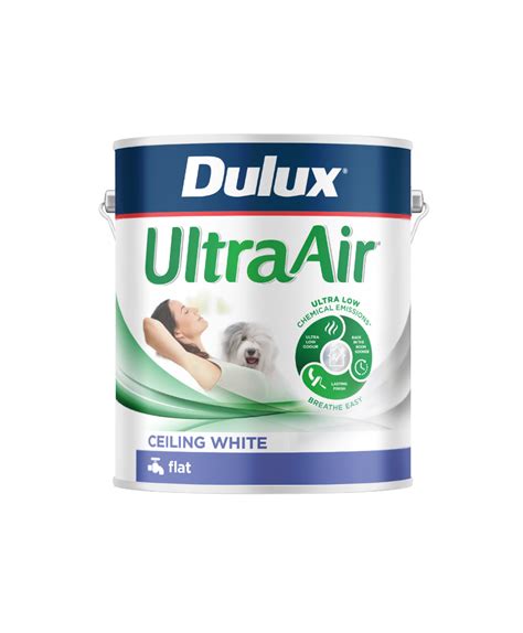 Dulux Ultraair® Ceiling White Dulux