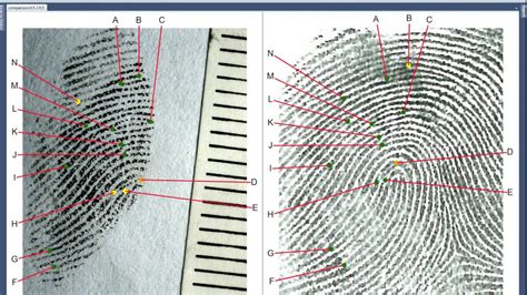 Presenting Fingerprint Comparisons In Court Using Forensic Comparison