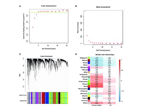 Wgcna Analysis A B Scale Independence And Mean Connectivity Are