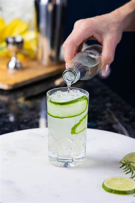 Cucumber Gin And Tonic Queen Bee Mixology