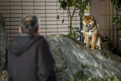 【閲覧注意】2011年ピューリッツァー賞写真部門受賞一覧 哲学ニュースnwk