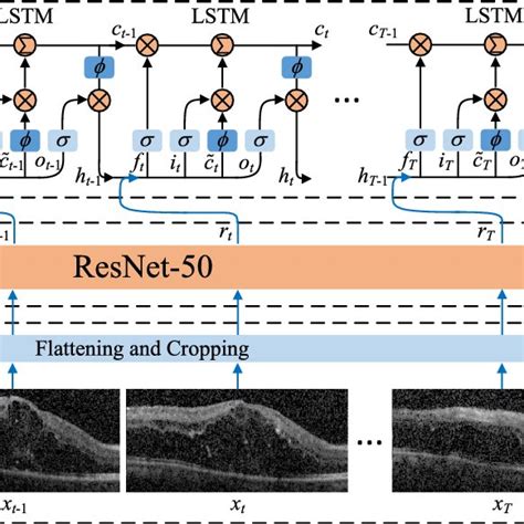 The Framework Of Voct Rnn For Volumetric Retinal Oct Image