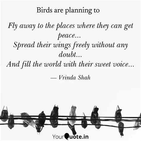 Fly away to the places wh... | Quotes & Writings by Vrinda Shah | YourQuote