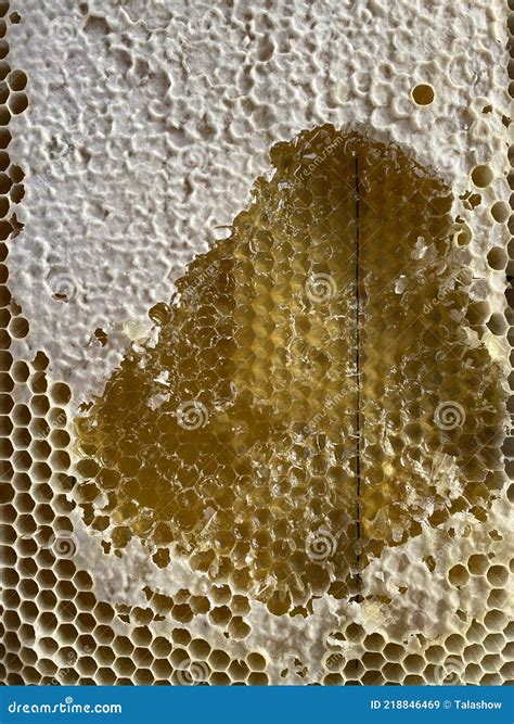 Bee Wax Honeycomb With Honey Close Up Stock Image Image Of Closeup