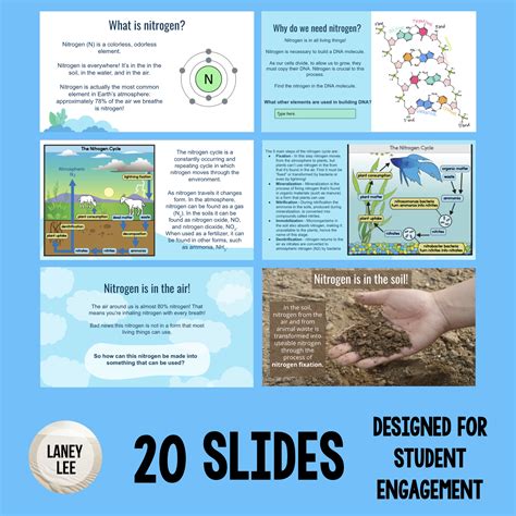 Nitrogen Cycle Google Slides Interactive Presentation Laney Lee