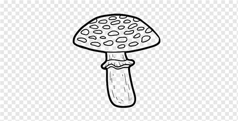 Libro Para Colorear Dibujo Amanita Muscaria Seta Seta Ni O Mano