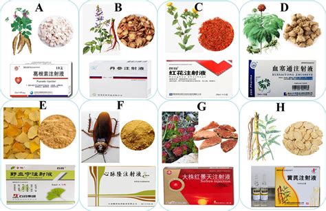 Frontiers Chinese Herbal Injection For Cardio Cerebrovascular Disease