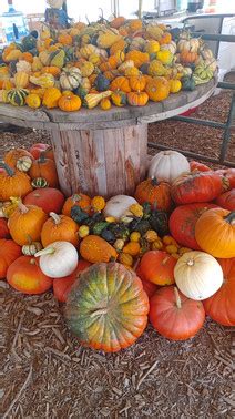 Kelowna Haunted Corn Maze Valley Road