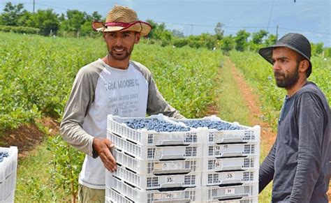 CSRWire Supporting Kosovo S Agricultural Transformation