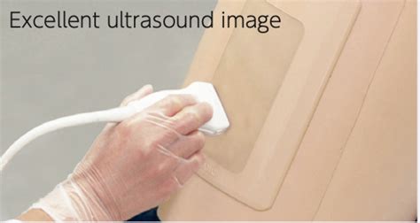 Simulateur De Thoracentèse Guidé Par Ultrasons Mw4 Mw4a Mice Swiss