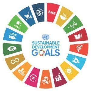 Definizione Di Strategie E Piani Di Azione Sdgs E Monitoraggio