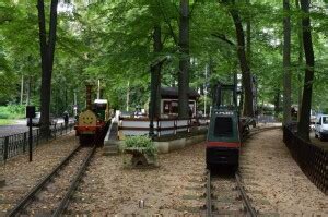 Details ZVON Ihr Mobilitätsportal für Oberlausitz Niederschlesien