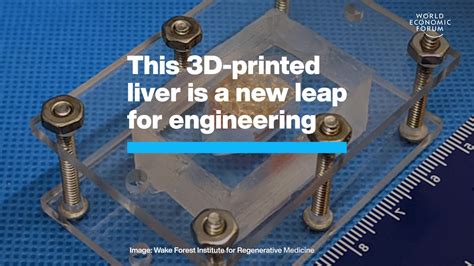 This 3D-printed Liver Is A New Leap For Engineering | World Economic Forum