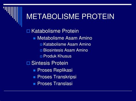 Ppt Metabolisme Protein Powerpoint Presentation Free Download Id