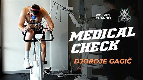 Among The Wolves Djordje Gagic S Medical Check Up Youtube