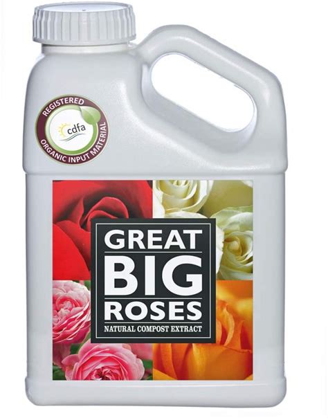 25 Best Rose Fertilizer For Healthy Blooms Storables