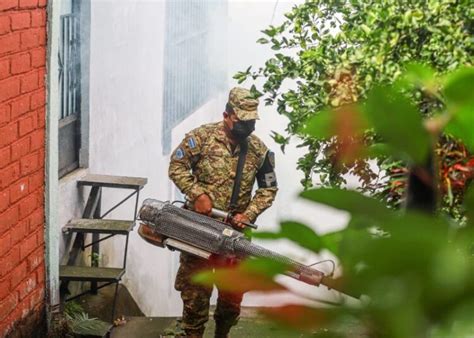 Redoblan Esfuerzos Para Combatir El Dengue Diario La Página