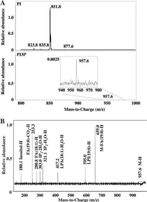 Mass Spectrometric Analysis Of PI3P A Precursor Ion Scanning MS For