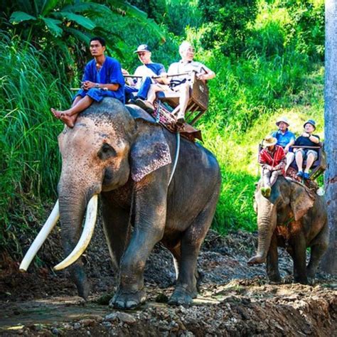 Elephant Ride And Kintamani Tour