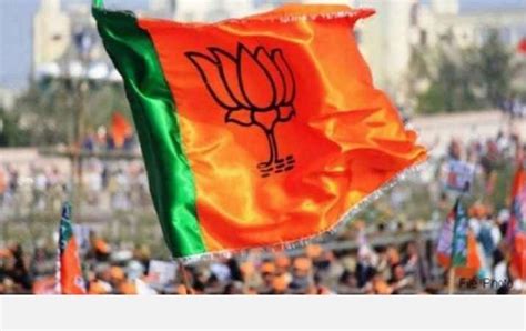 Maharashtra By-election; BJP Wins 22 Wards In District Panchayat Elections: 46 Seats For ...