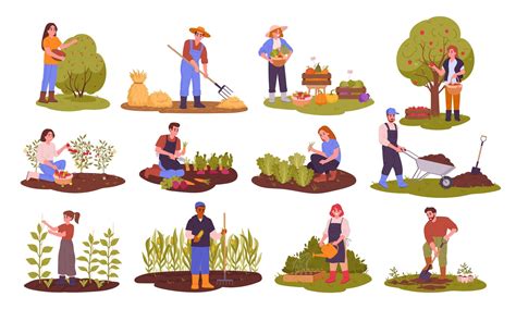 How to Plan Your Garden for Year Round Colour - West Somerset Garden Centre