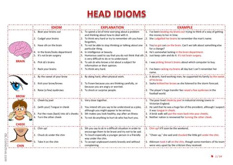 Head Idioms English Esl Worksheets Pdf And Doc