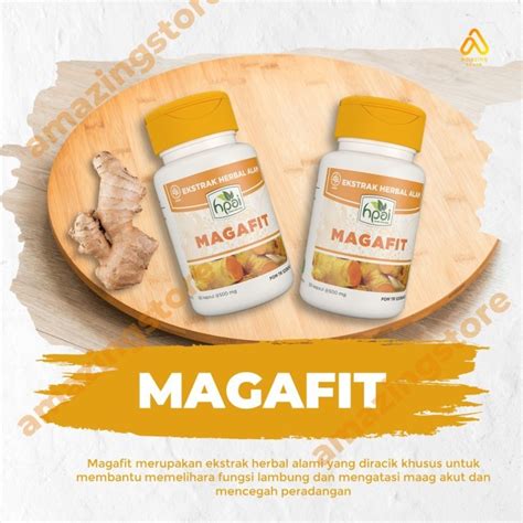 Jual HNI HPAI KAPSUL MAGAFIT EXTRAK KUNYIT MEMELIHARA FUNGSI ORGAN