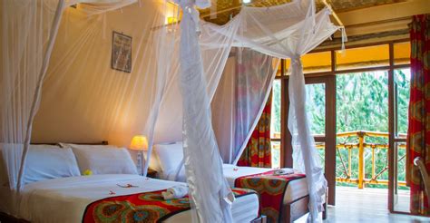 Ichumbi Gorilla Lodge Pamoja Tours And Travel