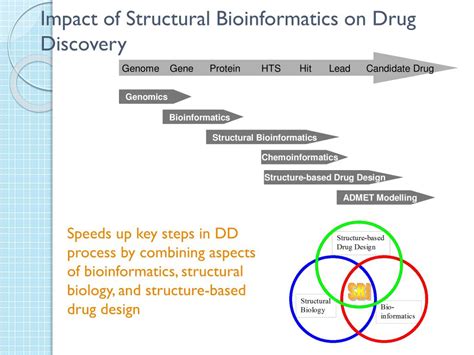 Ppt Bioinformatics Powerpoint Presentation Free Download Id5371543