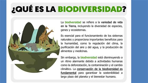 SOLUTION Unidad Biodiversidad Studypool