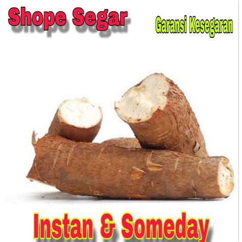 jual singkong kulit singkong segar  panen  kg shopee indonesia