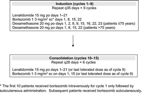 A Phase 2 Study Of Modified Lenalidomide Bortezomib And Dexamethasone