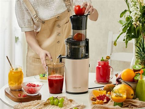 Top Best Citrus Juicers Reviews And Buying Guide My Chinese Recipes