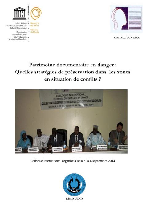 PDF Patrimoine documentaire en danger Quelles stratégies de