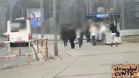 Free Car Fuck Porn Videos Xhamster