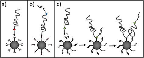 Schematic drawing of the (a) grafting-onto, (b) grafting-from and (c)... | Download Scientific ...