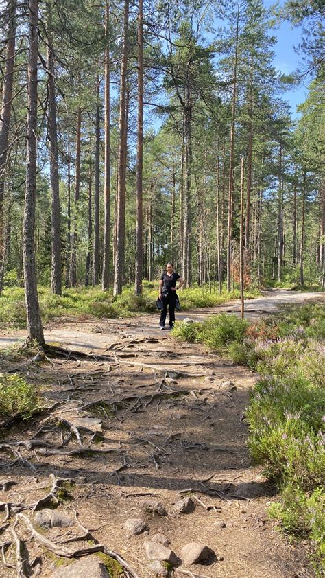 Nuuksio National Park Go For A Hike Around The Finnish Forest