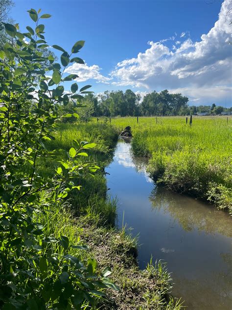Gallatin County Community Coalition | Manhattan MT