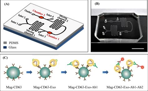 A Microfluidic Chip For Immunocapture And Quantification Of Circulating