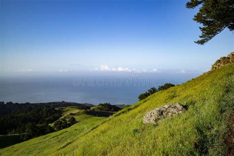 View of Pacific Mt Tamalpais Spring Stock Photo - Image of pacific ...